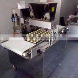 Stainless Steel Full Automatic Cookie Biscuit Production Line,fooding Machine,biscuit Machine