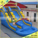 Used Party Jumpers for Sale, Water Park Slides for Sale thumbnail-5