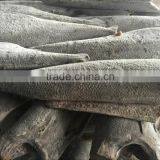 Good Quality Frozen HGT Hamachi in 2016 thumbnail-2