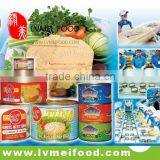CANNED SARDINES IN OIL thumbnail-4