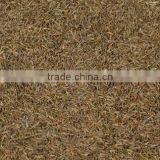 Cumin Seeds Singapore thumbnail-3