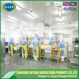 High Quality Japanese Grade Diced Garlic Cube Export to Word Market thumbnail-4