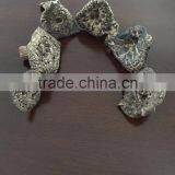 Sarcodon Imbricatus thumbnail-3
