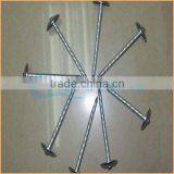 Top Quality Galvanised Roofing Nail With Umbrella Head Trusted Chuanghe Suppliers From Com thumbnail-1