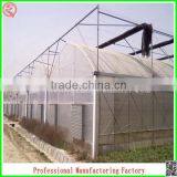 Hot Sale 6.4m Multi-span Agriculture Plastic Greenhouse for Flowers thumbnail-4