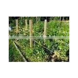 Tomato Support thumbnail-1