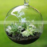 Transparent Bubble Round Shape Vase Flower Plant Water Container for Home Office thumbnail-1