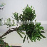 Miniascape,potted Evergreen Landscape,shapped Bonsai thumbnail-6