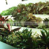 Home and Outdoor Decoration Synthetic Cheap Artificial Vertical Green Grass Wall E08 04R11 thumbnail-1