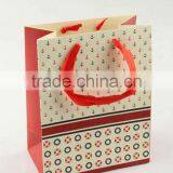 Printed Foldable Gift Bag / Shopping Paper Bag thumbnail-2