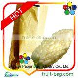 TPBI Taiwan high quality vegetable protection bag for growing bitter