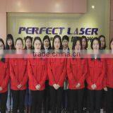 Perfect Laser (Wuhan) Co., Ltd. company overview - view 1 thumbnail