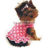 Pet Clothes thumbnail-1