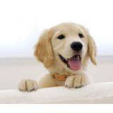 Beijing Painting Company company overview - view 1 thumbnail