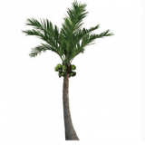 Top Quality 6 Meters Artificial Coconut Tree for Decoration