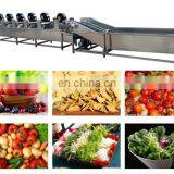 304 Stainless Steel Fruit Air Washing Machine for Cleaning Plum Cherry Apricot thumbnail-5