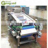 GYC Industria Belt Type Sugar Cane Sugarcane Apple Lemon Orange Fruit Vegetable Radish Juice Extractor With High Rate 75-83% thumbnail-2