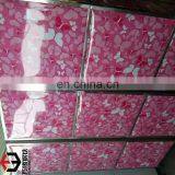 Full Form Ppgi Steel Coil/pre Painted Galvanized Steel Coil/sheet With 0.12mm Thickness thumbnail-5