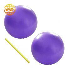 Hot Selling Gym Fitness Custom Logo Pvc Yoga Balls thumbnail-2