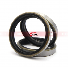 Type TB Oil Seal Standard High Quality Oil Seal From China Oil Seal Factory thumbnail-3
