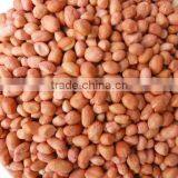 Roasted&salted Peanut Roasted Peanut thumbnail-4