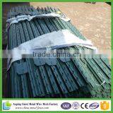 Green Painted 10 ft Metal t Post for USA Market