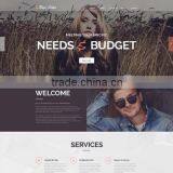 Website Design & Development thumbnail-4