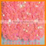 Flower Confetti/Loose Wedding Confetti