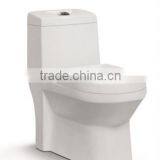 GCD2039-washdown one-piece toilet with big outlet hole dim.:100mm