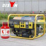 BISON(CHINA) Factory Pirce Hot Sale Type Biogas Generator For Sale Quality Choice