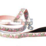 Newly Style Dog Leash