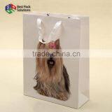 2016 Paper Shopping Bag thumbnail-1