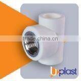 Female Tepipe thumbnail-1