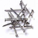 Common Round Nail/ Wire Nails/wood Nails +86 15132140964 Wechat/whatsapp