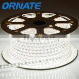 Rgb/warm White AC220V High Voltage Waterproof IP67 60leds/m Christmas Led Strip SMD5050