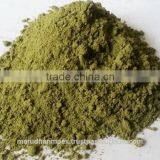 100% PURE MORINGA POWDER CERTIFIED BY GMP, KOSHER, HALAL, ISO22000,FDA