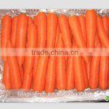 Carrot Soap, Fresh Carrot Manufacture thumbnail-1