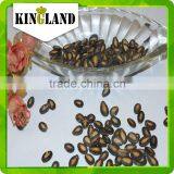 mytext Good taste black watermelon seeds kernels for sale