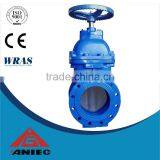 Cast Iron Gate Valve thumbnail-3