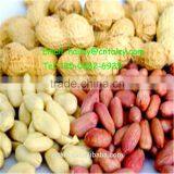 Roasted Peanut Peeling Machine-groundnut Peeling Machine thumbnail-4