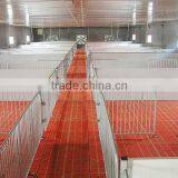 Poultry Flooring/pig Equipment/poultry Farm Equipment thumbnail-5