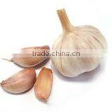 High Quality Garlic Splitter Machine/garlic Peeling Machine Have Best Price thumbnail-5