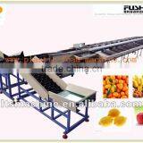 Mandarin Orange Grading Machine thumbnail-1