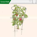 Powder Coated Tomatoes Cage thumbnail-1