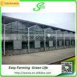 Modern Agricultural Equipments Glass Commercial Greenhouses thumbnail-2