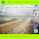 Large Venlo Film Greenhouse for Seeding thumbnail-1