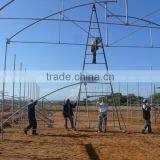 Low Cost Greenhouse thumbnail-4