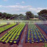 100% Biodegradable Mulch Film thumbnail-1
