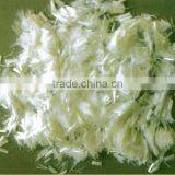 pp Hollow Fiber thumbnail-1