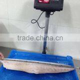 Fast Delivery Sea Frozen Mahi Mahi Fillet With Whole Round thumbnail-2
